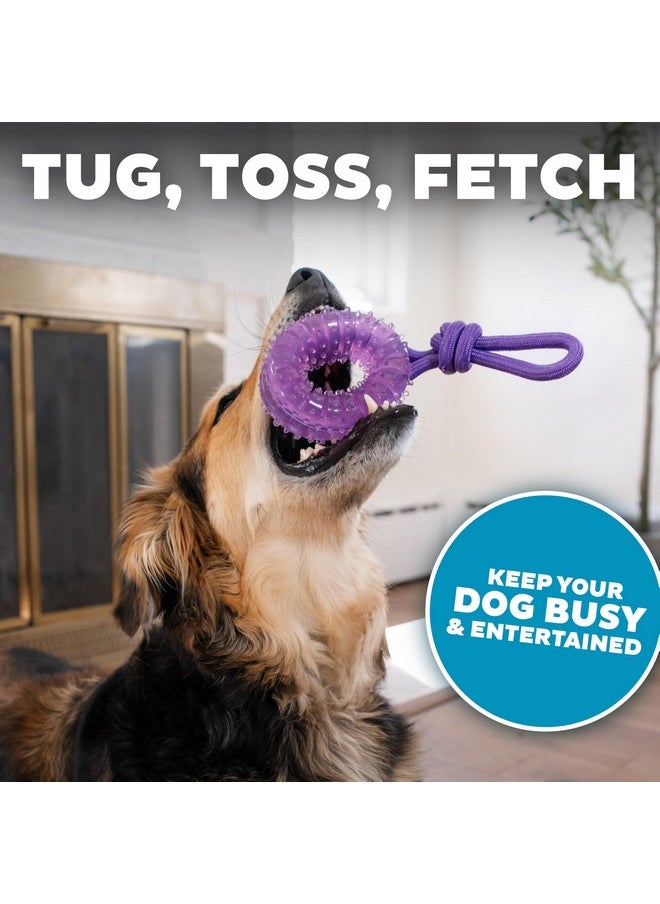 Outward Hound 2-in-1 Dental Chew Wheel Dog Chew Toy and Tug Toy, Purple