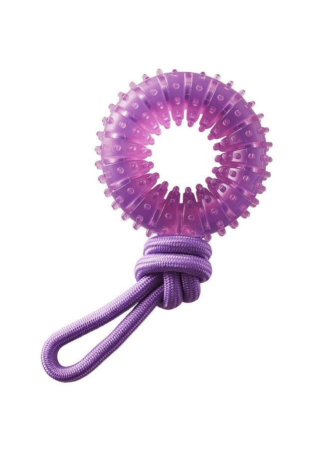 Outward Hound 2-in-1 Dental Chew Wheel Dog Chew Toy and Tug Toy, Purple