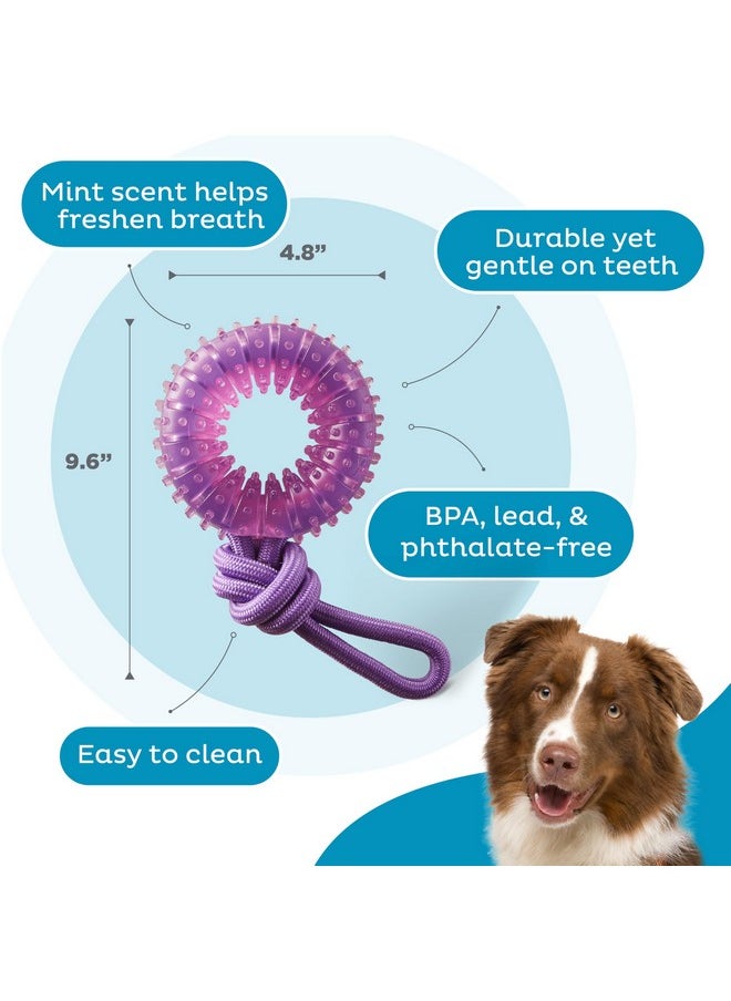 Outward Hound 2-in-1 Dental Chew Wheel Dog Chew Toy and Tug Toy, Purple
