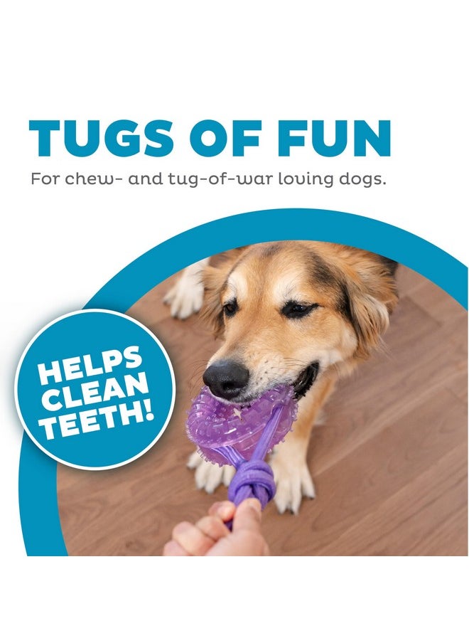 Outward Hound 2-in-1 Dental Chew Wheel Dog Chew Toy and Tug Toy, Purple