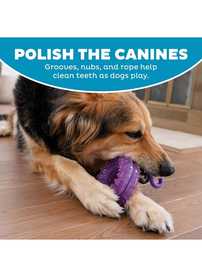 Outward Hound 2-in-1 Dental Chew Wheel Dog Chew Toy and Tug Toy, Purple