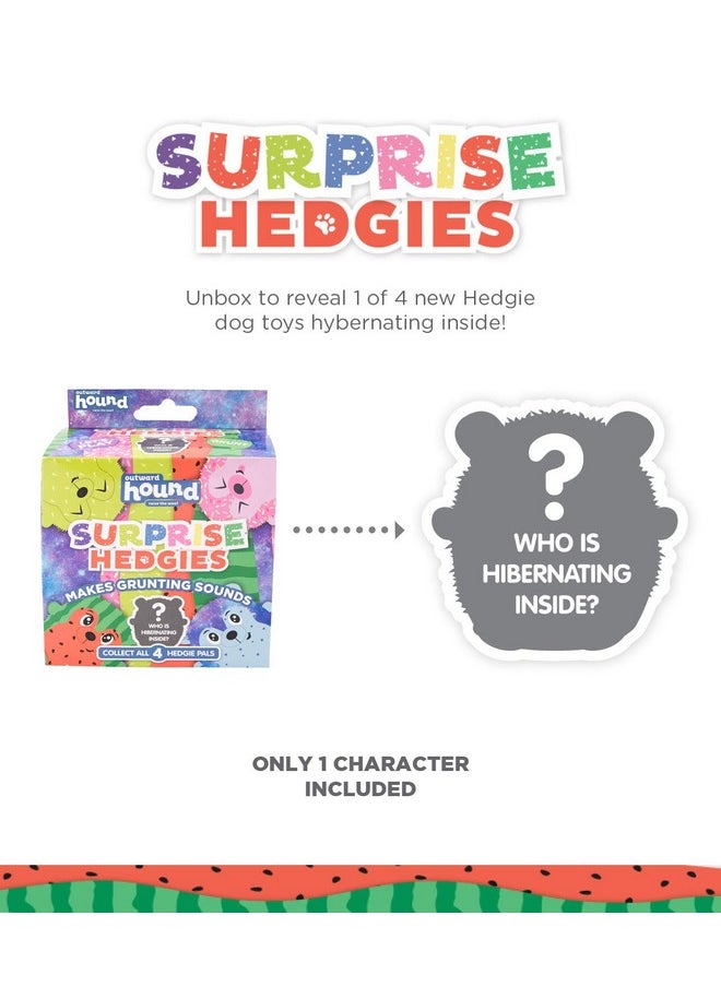 Outward Hound Surprise Hedgies Dog Toys - UNbox and Surprise! Collect All 3 Grunting Hedgies Dog Toys!
