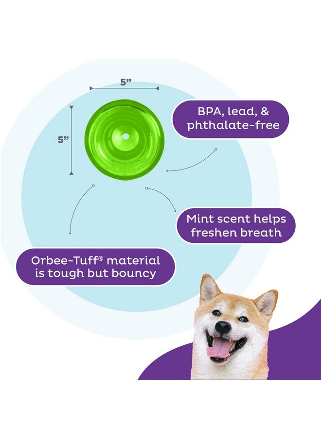 Outward Hound by Planet Dog Snoop Interactive Treat Dispensing Dog Toy, Large, Green