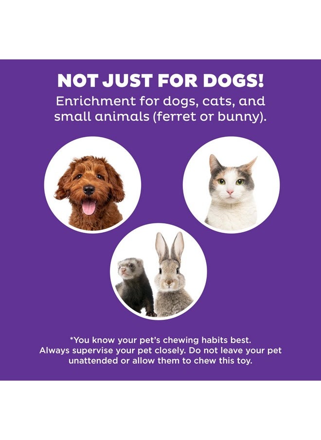 Outward Hound by Nina Ottosson Dog Hide N' Slide Treat Puzzle Enrichment Toy, Level 2 Intermediate, Purple, Composite