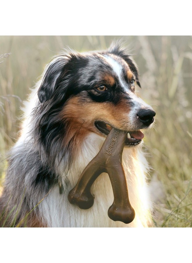 Pawsindia Benebone Wishbone Durable Dog Chew Toy for Aggressive Chewers|Real Peanut Medium for All Breeds
