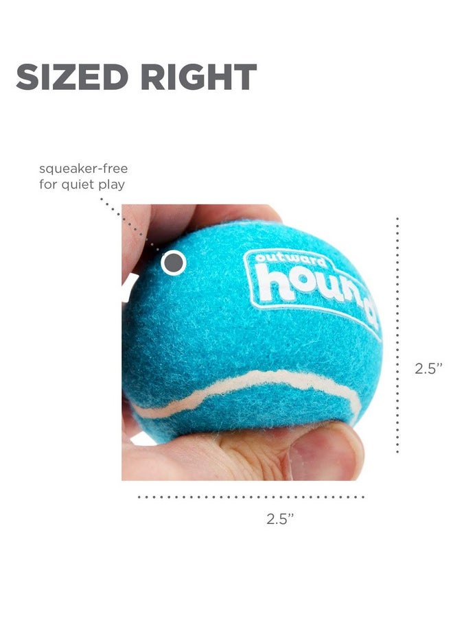 Outward Hound Tennis Ballz Fetch Dog Toy, 4-Pack