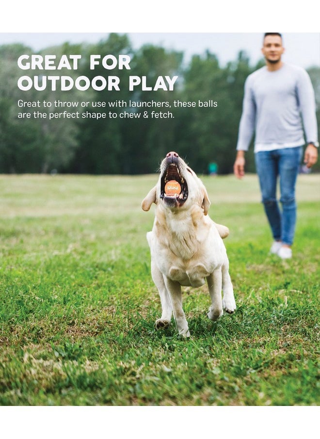 Outward Hound Tennis Ballz Fetch Dog Toy, 4-Pack