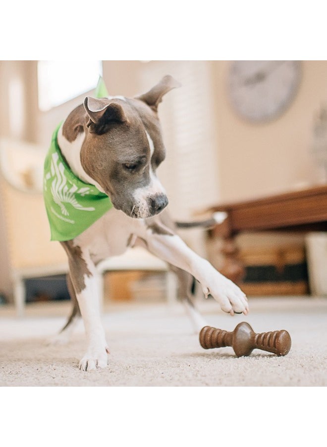 Benebone Medium 4-Pack Dog Chew Toys for Aggressive Chewers, Made in USA, 60lbs and Under
