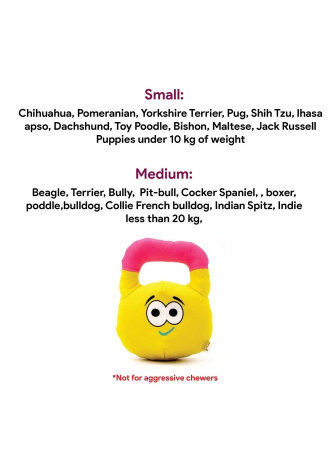 Goofy Tails Dog Toys| Gym Series Kettlebell Plush Toys for Dogs | Crinkle Dog Toys for Puppies | Dog Squeaky Toy| Soft Toys for Dogs and Puppies| Pet Toys for Dog| Squeaky Toy for Dogs