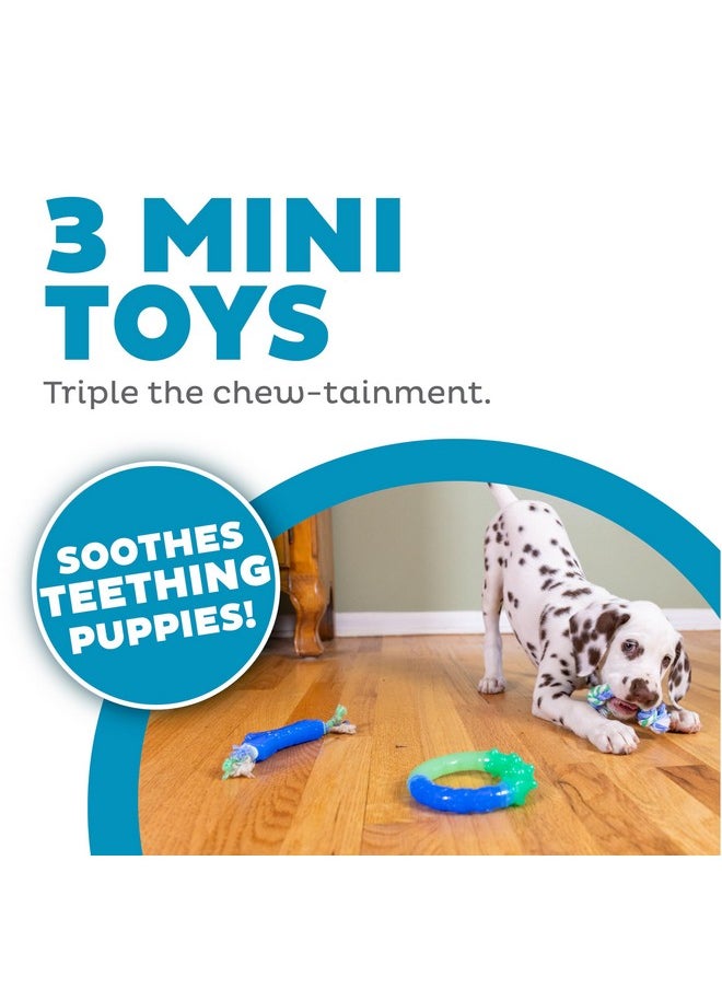 Petstages Orka Puppy Dental Chew Toys for Small Dogs & Teething Puppies - 3 Pack