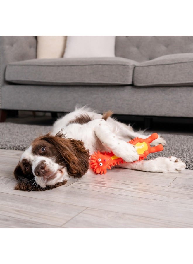 Outward Hound Latex-Free Big Squeak Hedgehog Dog Toy