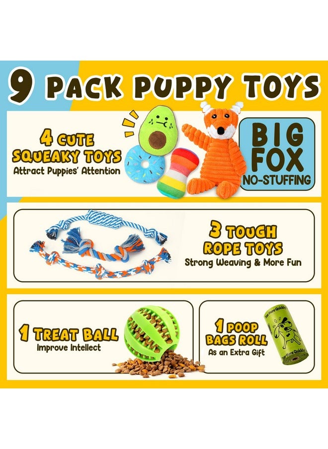 Zeaxuie 9 Pack Luxury Puppy Toys for Teething Small Dogs, Puppy Chew Toys with Cute Squeaky Dog Toys, Ball and More Rope Dog Chew Toys