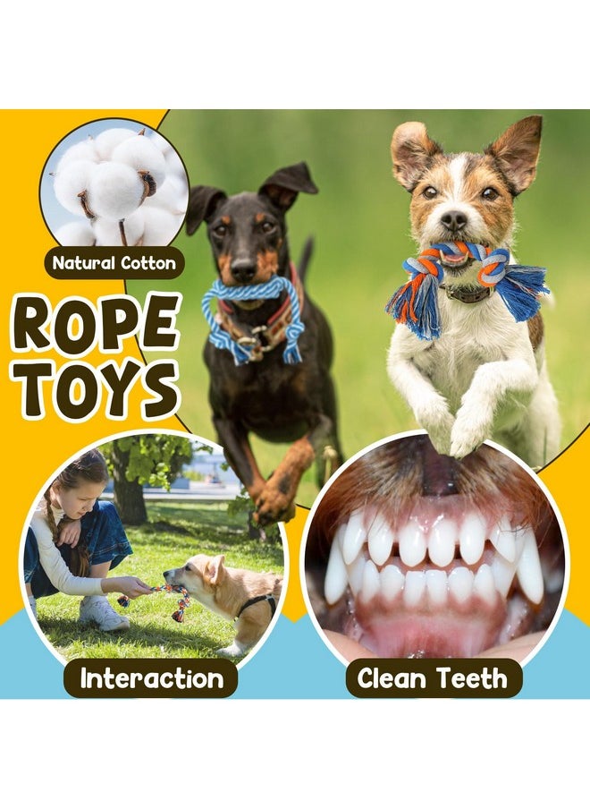 Zeaxuie 9 Pack Luxury Puppy Toys for Teething Small Dogs, Puppy Chew Toys with Cute Squeaky Dog Toys, Ball and More Rope Dog Chew Toys