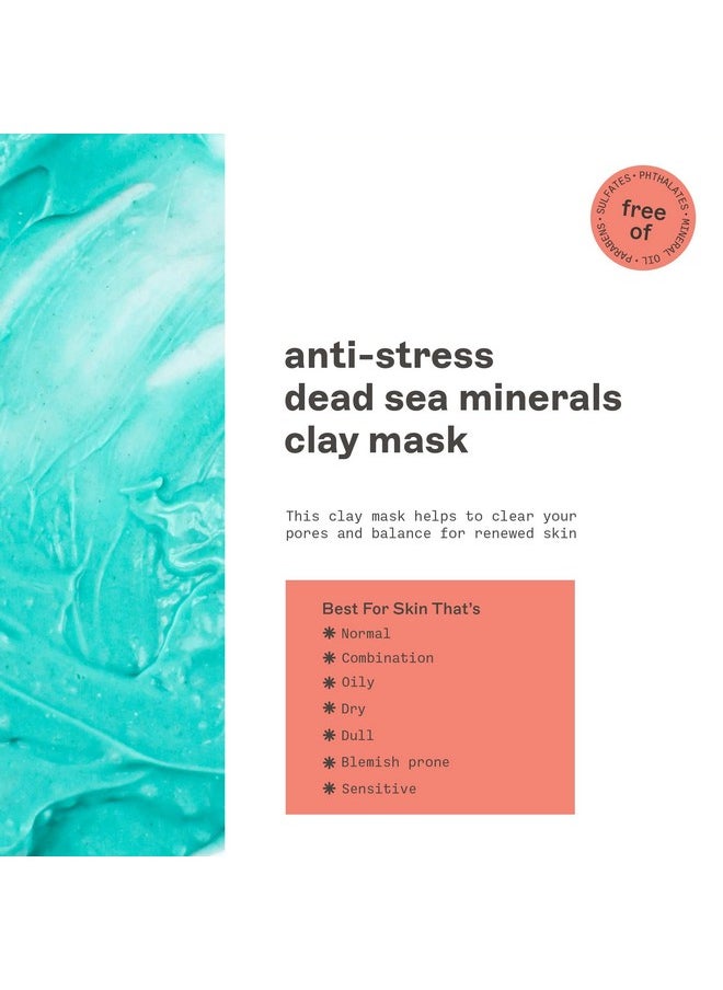 Freeman Anti-Stress Clay Mask, Dead Sea Mineral Face Mask, Lavender & Sea Salt Balance & Calm Skin, Unclog Pores, Facial Mask For All Skin Types, No Harsh Chemicals, 6 fl. oz./175 ml Tube, 1 Count