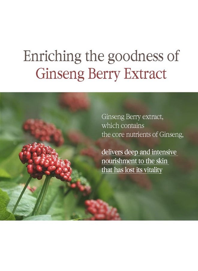 [PKY] Pyunkang Yul Black Tea Boosting Serum for Anti-aging, Condensed Nutrition for Fine Line Care with Kombucha, Ginseng Fruit Extract, Zero-Irritation, Korean Skincare (1.52 Fl. Oz, 45ml)