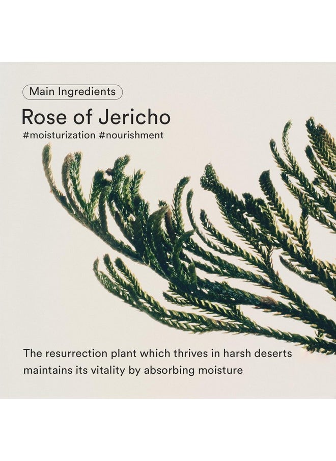 Abib Jericho Rose Bifida Serum Firming Drop, Visibly Smooths Textured Skin, Evens Skin Tone