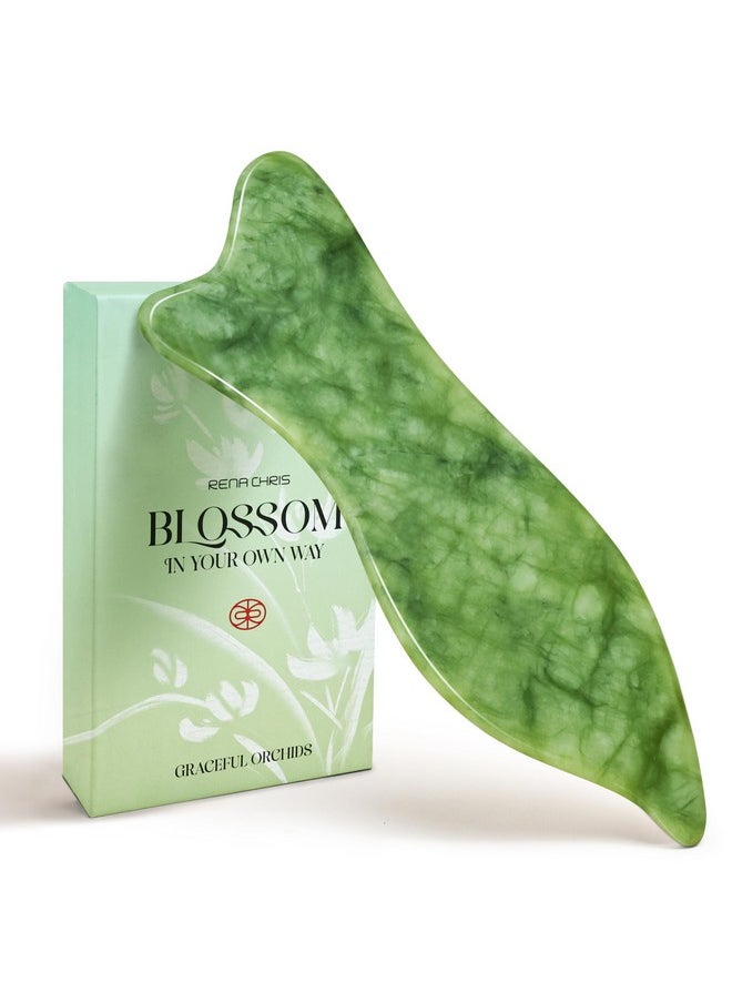 Rena Chris Gua Sha Facial Tools - Acupressure & Gua Sha, Jade Gua Sha Stone for Face Massage, Jawline Sculpting and Puffiness Reducing, Skin Care Tool with User Manual