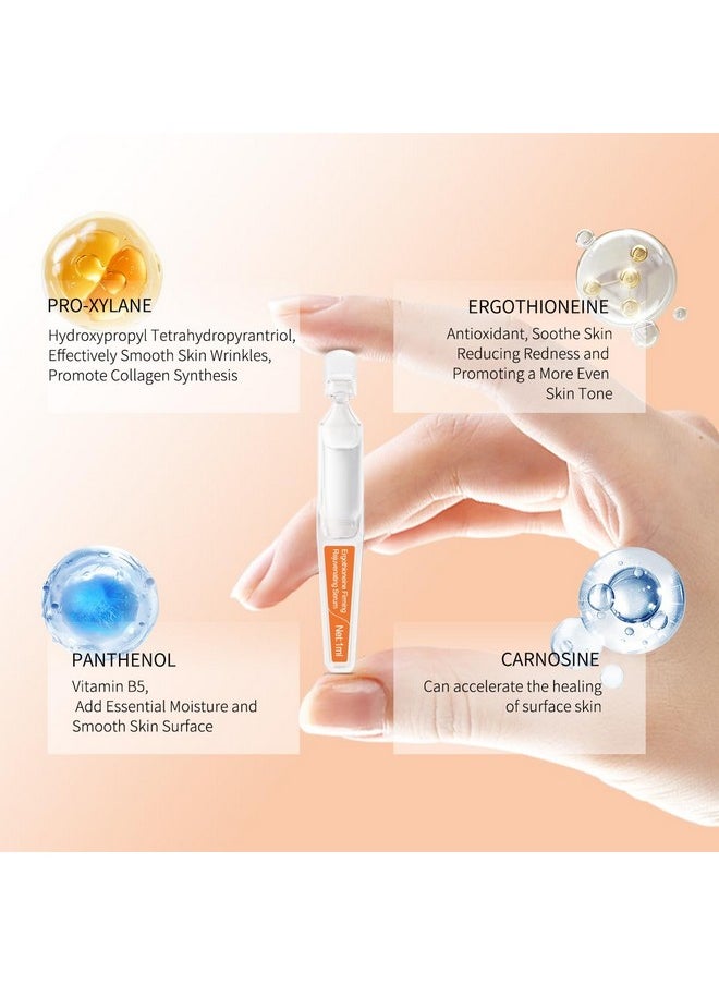 Ergothioneine Firming Rejuvenating Ampoules Serum - Hydrating and Repairing Formula with Pro-Xylane, Centella Asiatica Extract, and Vitamin B5 for Various Skin Types, 15 Pcs/Box