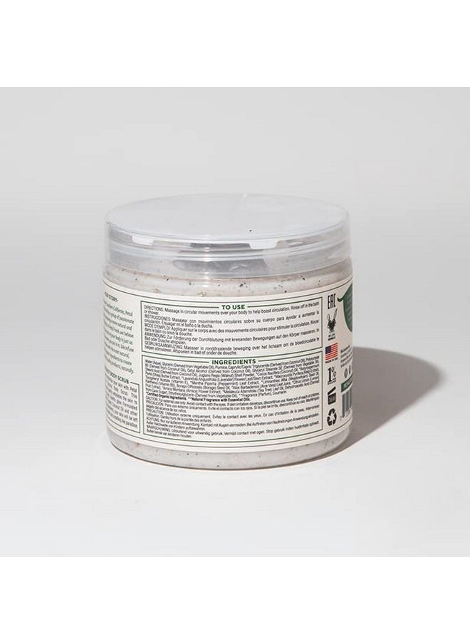 Petal Fresh Coconut Body Scrub, Smoothing Body Pudding, Natural, Gently Exfoliating, Daily Skincare, Vegan and Cruelty Free, 16 oz