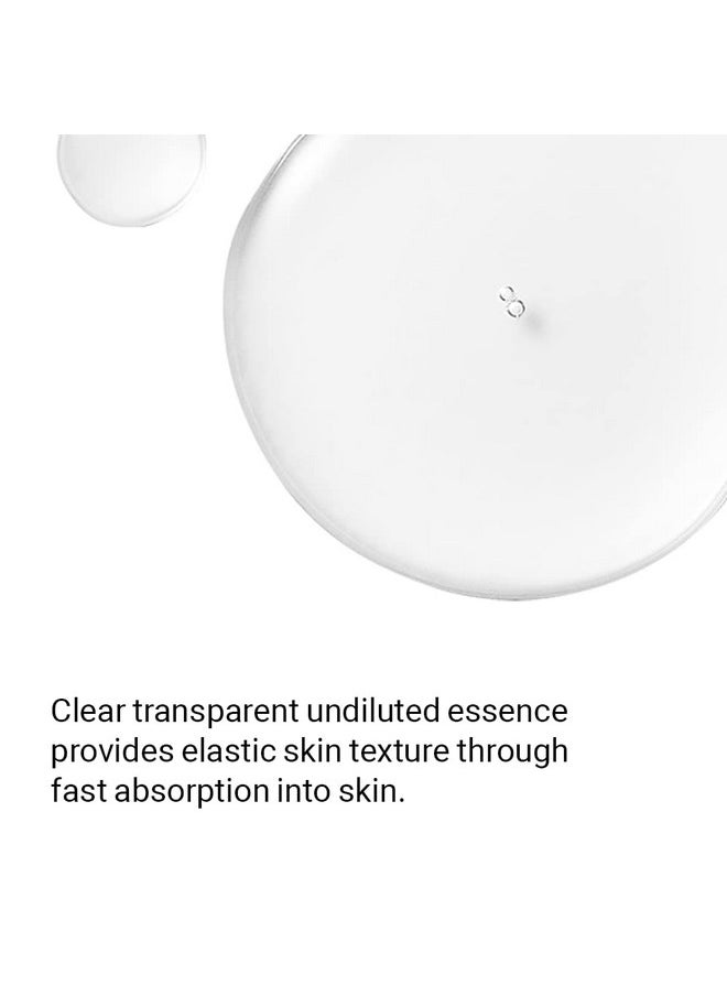 SCINIC First Treatment Essence Face Fluid All Skin Types Women Yeast 150ml