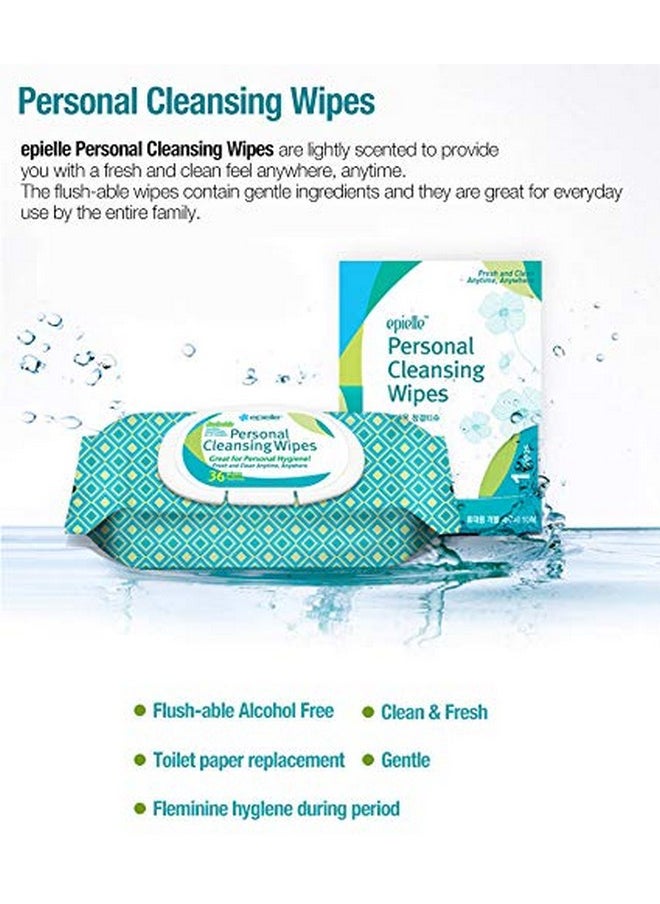Epielle Personal Cleansing Wipes | Natural Ingredients | Flushable Wet Wipes | Travel Size, Daily Use | 2 Pack | Korean Skincare
