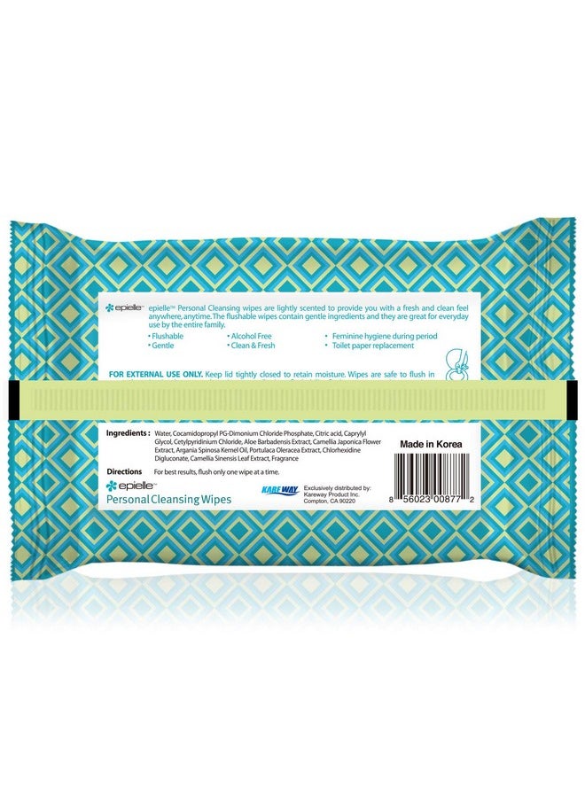 Epielle Personal Cleansing Wipes | Natural Ingredients | Flushable Wet Wipes | Travel Size, Daily Use | 2 Pack | Korean Skincare