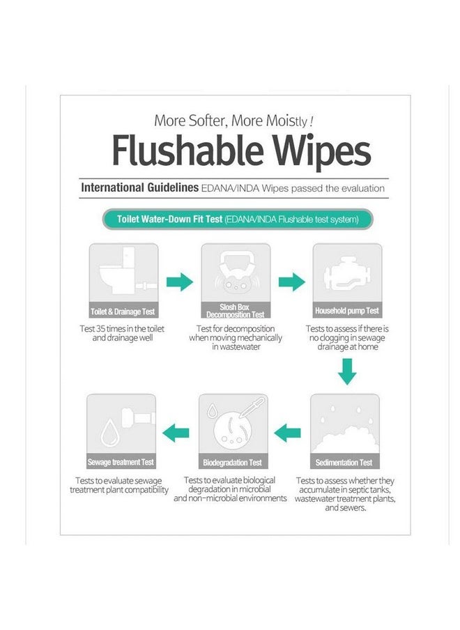 Epielle Personal Cleansing Wipes | Natural Ingredients | Flushable Wet Wipes | Travel Size, Daily Use | 2 Pack | Korean Skincare