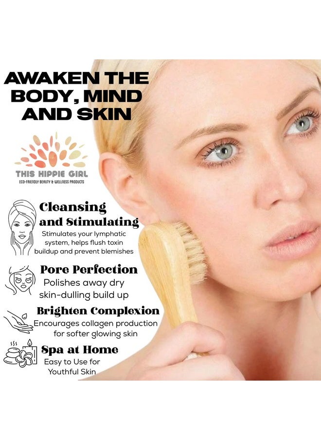 This Hippie Girl Facial Dry Brush, Dry Facial Brush, Facial Exfoliating Brush, Scrubber Natural Bristle for Face Massage, Face Circulation, Face Exfoliator, Facecare Tool