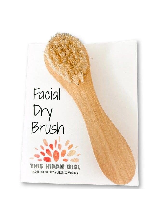 This Hippie Girl Facial Dry Brush, Dry Facial Brush, Facial Exfoliating Brush, Scrubber Natural Bristle for Face Massage, Face Circulation, Face Exfoliator, Facecare Tool