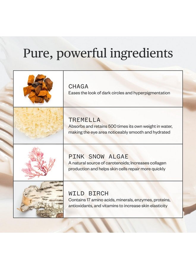 Ursa Major Forest Alchemy Eye Cream | Natural Under-Eye Moisturizer for Dark Circles, Fine Lines, Puffy Eyes and Wrinkles | Vegan, Cruelty-Free, Non-toxic, Unscented | 0.50 ounces