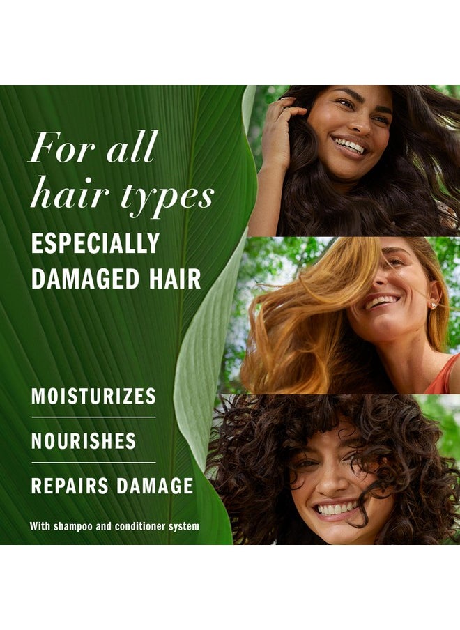 Herbal Essences Argan Oil Repair Shampoo & Conditioner Set, Moisturizes & Smoothes, Paraben-Free, Color-Safe, pH-Balanced, Citrus Scent, 20.2 Fl Oz, 2-Pack