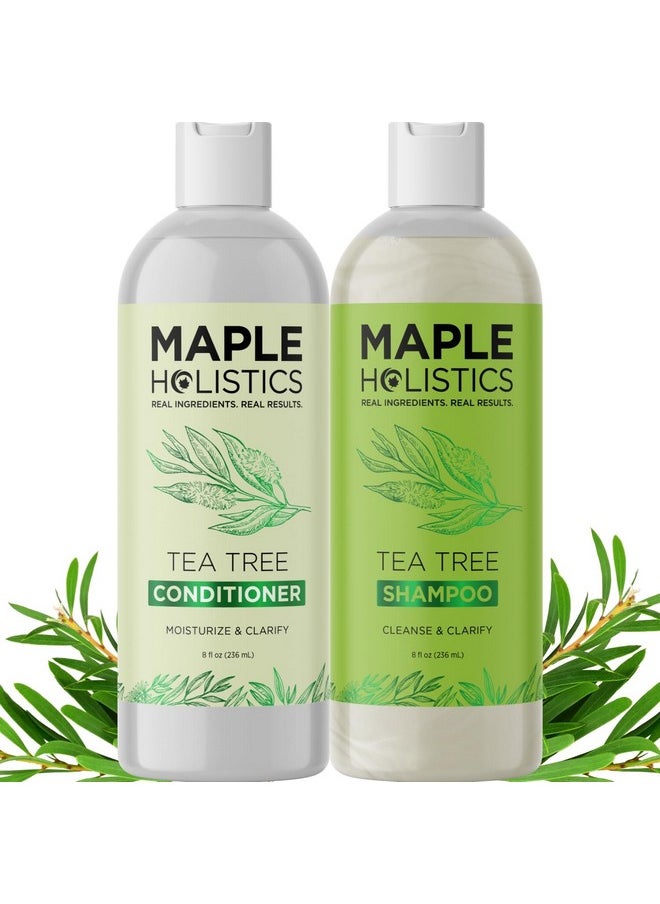 Tea Tree Shampoo and Conditioner Set - Sulfate Free Clarifying Shampoo and Conditioner for Oily Hair & Scalp Care with Australian Tea Tree Oil - Complete Dry Scalp Treatment for Build Up (8 Fl Oz)