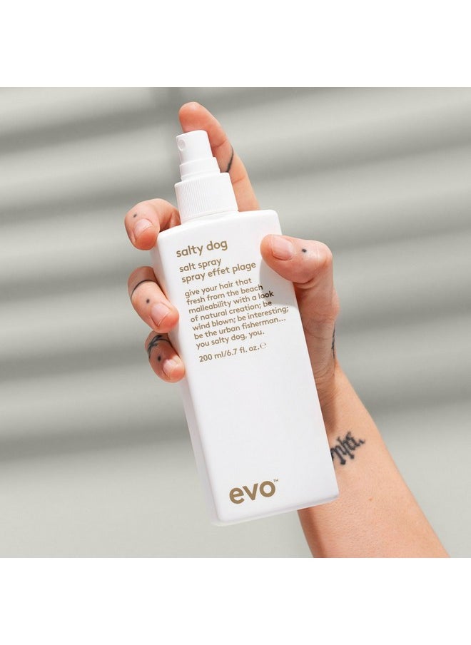 EVO Salty Dog Salt Spray - Hair Texture & Volume Spray - Beach Textured Hair, Natural Matte Finish - 200ml / 6.8fl.oz