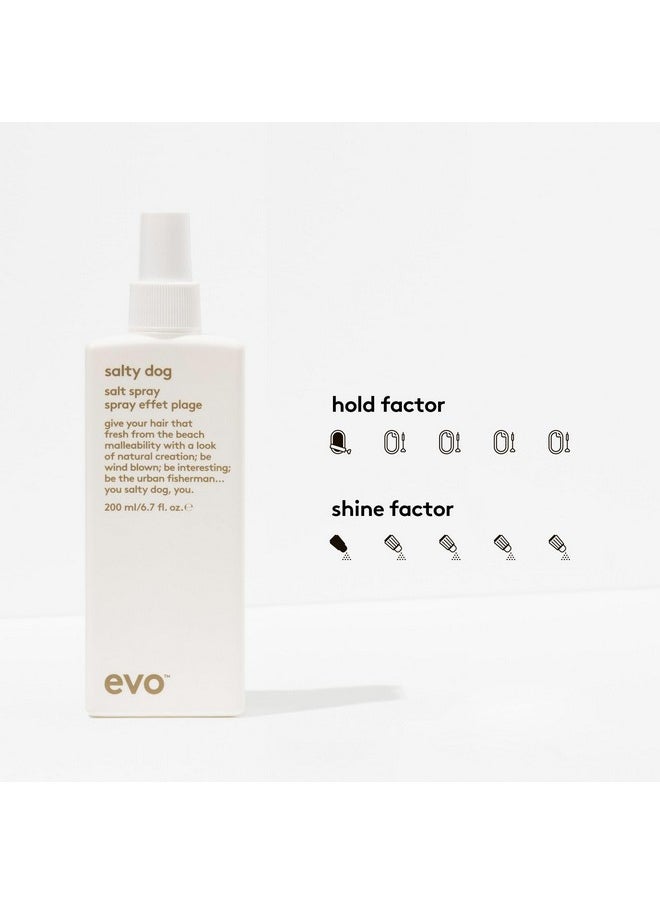 EVO Salty Dog Salt Spray - Hair Texture & Volume Spray - Beach Textured Hair, Natural Matte Finish - 200ml / 6.8fl.oz
