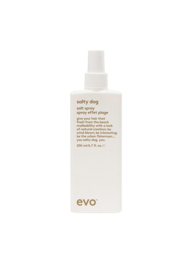 EVO Salty Dog Salt Spray - Hair Texture & Volume Spray - Beach Textured Hair, Natural Matte Finish - 200ml / 6.8fl.oz