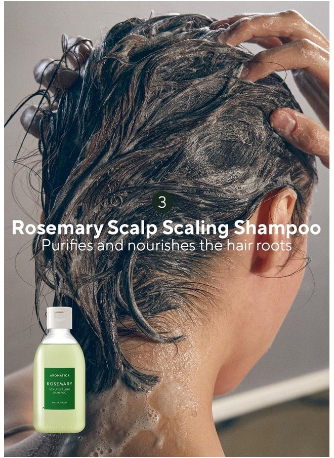 AROMATICA Rosemary Scalp Scaling Trial Kit - Hair Travel Kit | Mini Size Shampoo and Dry Scalp Treatment Set with Mini Wooden Brush