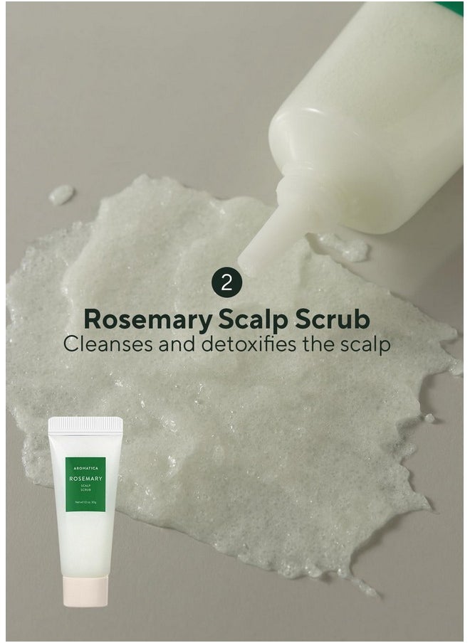 AROMATICA Rosemary Scalp Scaling Trial Kit - Hair Travel Kit | Mini Size Shampoo and Dry Scalp Treatment Set with Mini Wooden Brush