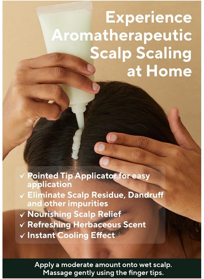 AROMATICA Rosemary Scalp Scrub 5.82oz / 165g, Scalp Treatment, Scalp Exfoliator with Salt Scrub for Oily Scalp, Dandruff, Build Up Remover