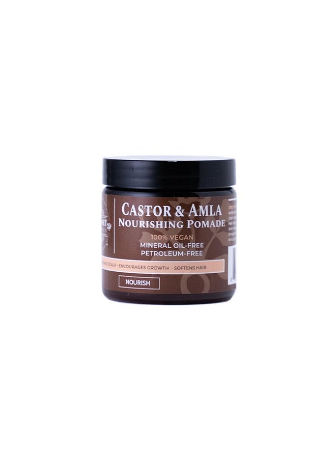 Qhemet Biologics Castor & Amla Nourishing Pomade - Vegan Pomade and Scalp Conditioner with Castor Oil and Amla - Adds Softness, Pliability & Sheen to Locs, Cornrows, Twists & Loose Hair (4 oz)