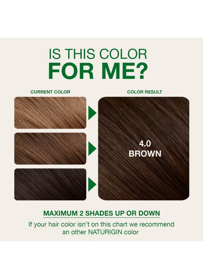 Naturigin Permanent Hair Dye, 4.0 Brown, Ammonia and Paraben Free, up to 100% Gray Hair Coverage, Long Lasting, Vegan, Cruelty Free