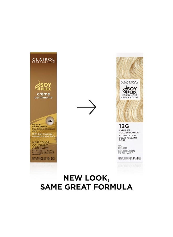 Clairol Professional Permanent Crème Hair Color 12g High Lift Gold Blonde