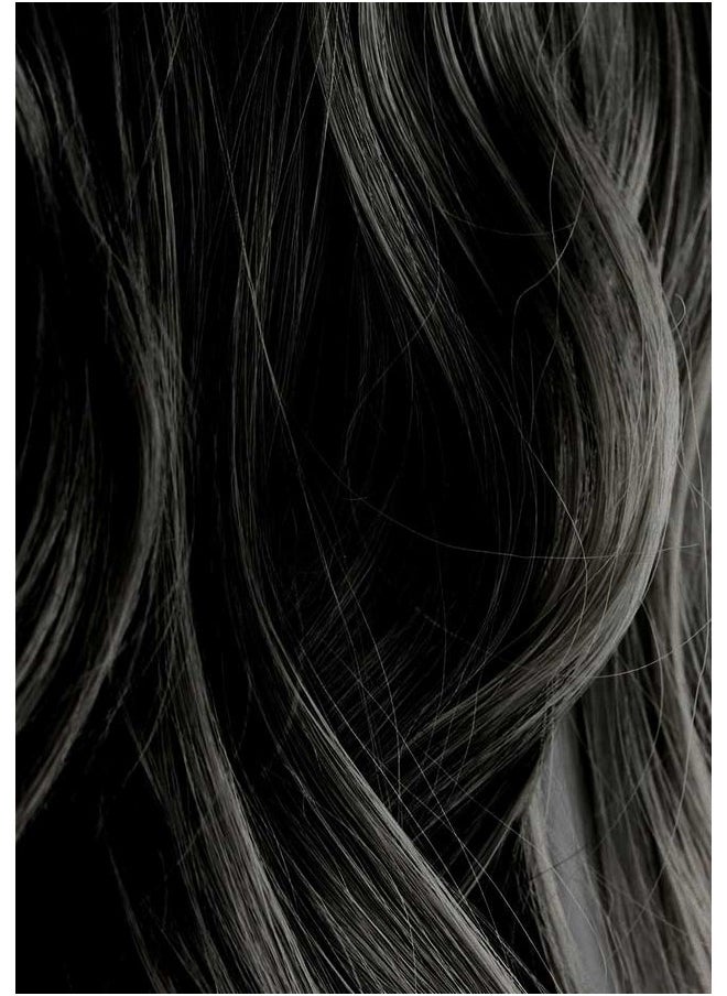 Iroiro Natural Premium Semi-Permanent Hair Color 10 Black 4oz