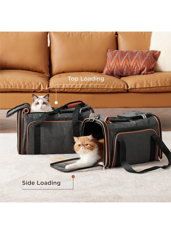 Pet Carrier Cat Carrier For Small Dogs, Dog Carrier, Cat Kennel, Airline Approved Dog Cat Pet Travel Carrier, Soft- Sided Pet Travel Carrier For Cats Dogs, Portable Foldable Pet Bag