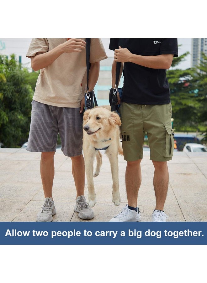 COODEO Dog Carry Sling, Emergency Backpack Pet Legs Support & Rehabilitation Dog Lift Harness for Nail Trimming, Dog Carrier for Senior Dogs Joint Injuries, Arthritis, Up and Down Stairs (M, Blue)