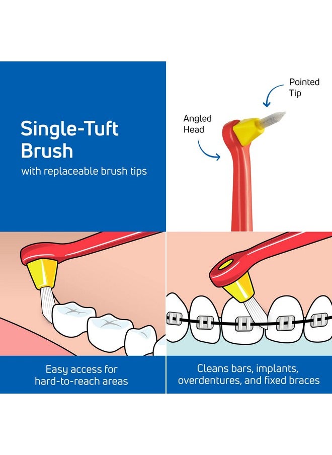 TEPE Interspace Angled Soft Toothbrush for Braces with Single-End Tuft and Removable Head, 12 Pack