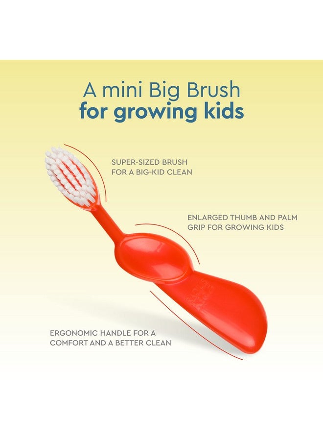 RADIUS Kidz Toothbrush Children's Right Hand BPA Free ADA Accepted Designed to Clean Teeth & Gums for Children 6 Years & Up - Green Blue Orange - Pack of 3