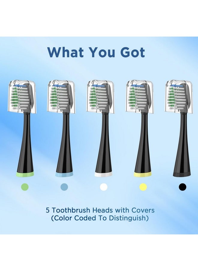 Replacement Toothbrush Heads for Waterpik Complete Care 5.0/9.0 (CC-01/WP-862), with Covers, 5 Count, Black