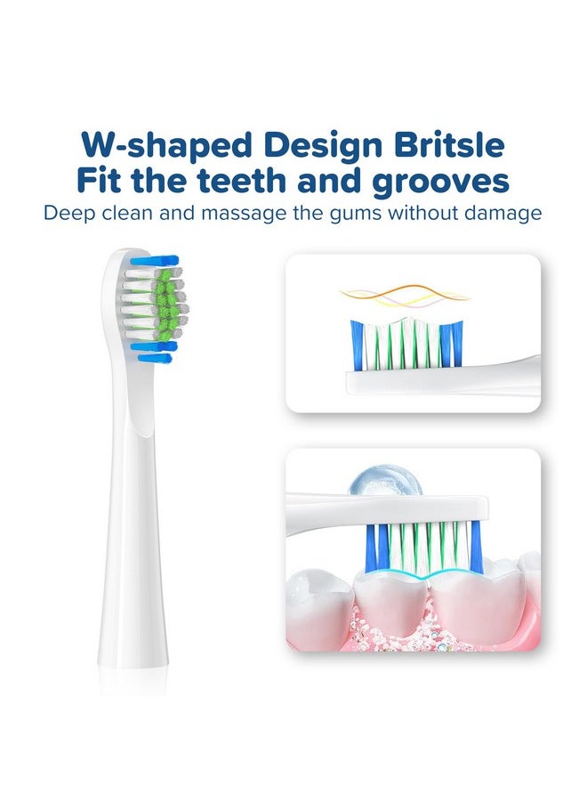Harobey Replacement Toothbrush Heads 10 Pack Compatible with Bitvae Daily D2 Rechargeable Toothbrush, for D2 Toothbrush Heads Refills, White
