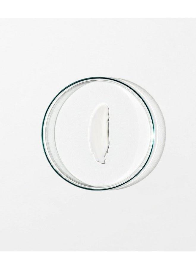 Grown Alchemist Skin Renewal Day Cream - Anti Aging Face Moisturizer for Women & Men - Face Moisturizer with Reishi Extract, Moringa Peptides and Antioxidants, (65ml)