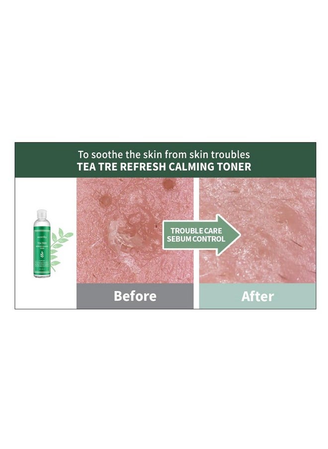 Secret Key Refresh Calming Toner, Tea Tree, 8.38 fl oz (248 ml)